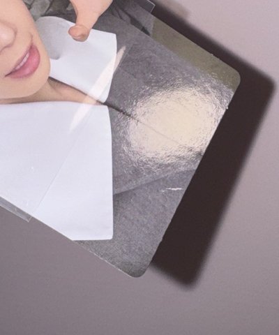 迷七 wvs特典 貓抓顯