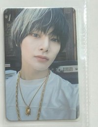 雙色狐狸好喜歡