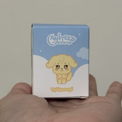 ATEEZ ANITEEZ in dreamland 凸咚伊小公仔