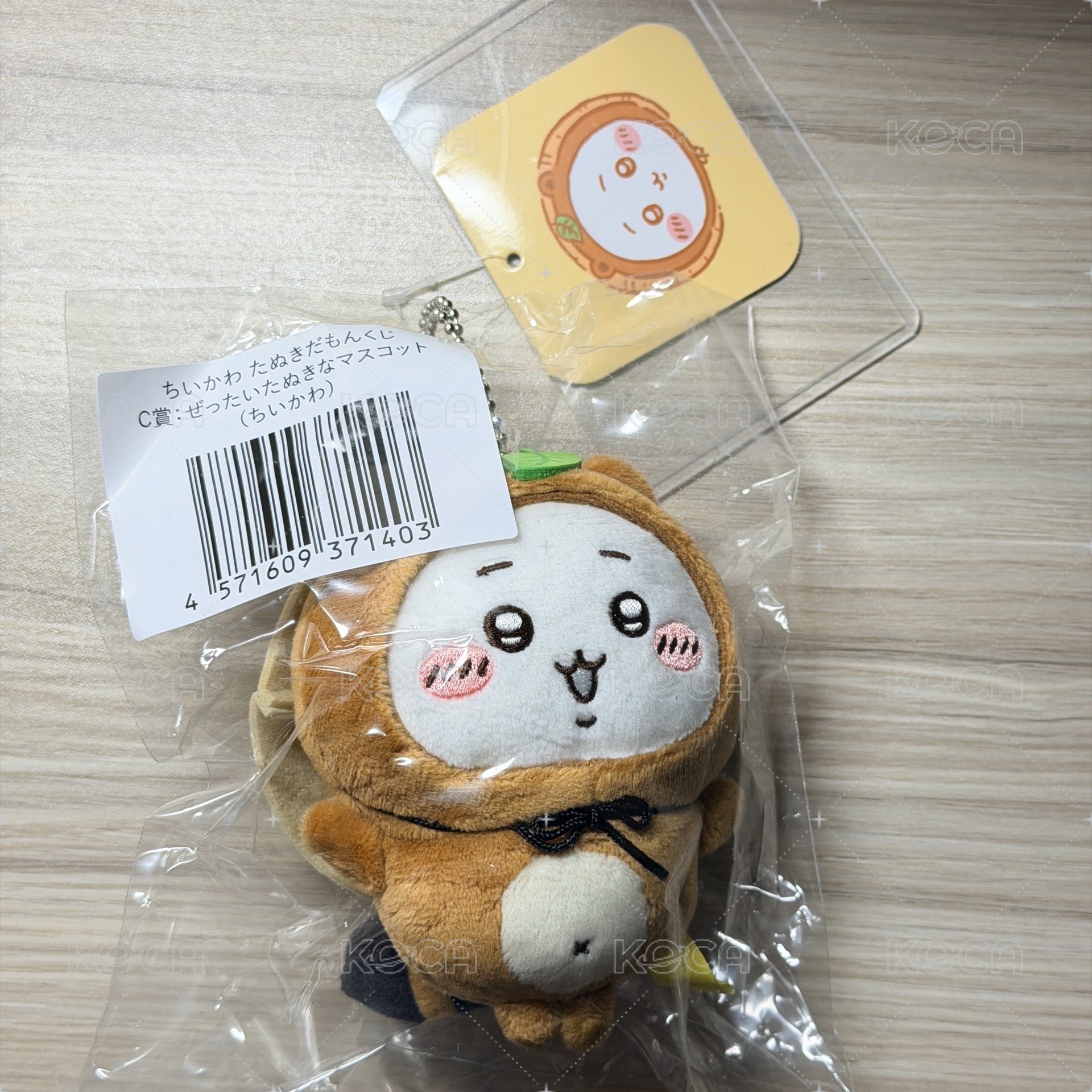狸貓c賞吉伊