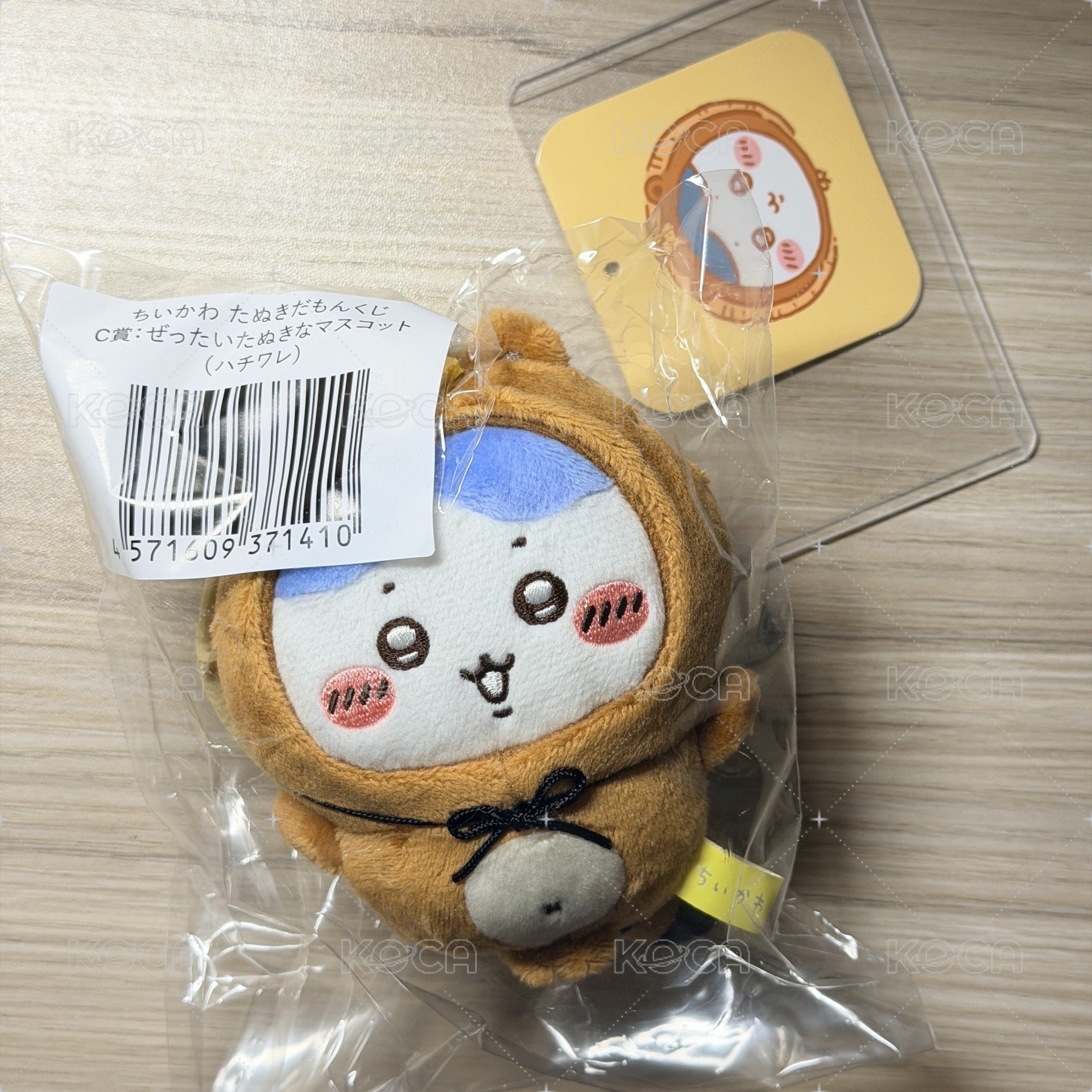 狸貓c賞小八