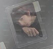 MA訓
