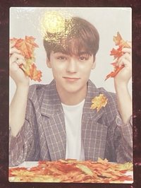 2019 Ode to You 隨機卡 3