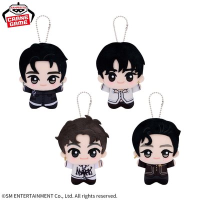 NCT 127 Fact Check日本萬代景品娃娃 努努 小不點布偶 絨毛吊偶Johnny泰容 道英 在玹 應援棉花娃