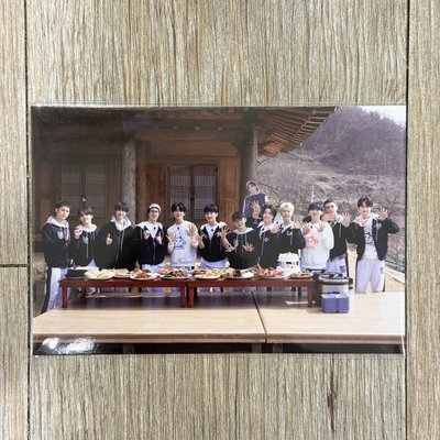 SEVENTEEN｜NANA bnb 週邊 布章 魔鬼粘 毛粘貼｜小八 THEpalee 徐明浩