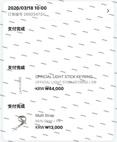 TWS小手燈&背袋 已購入