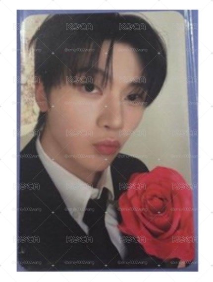 zb1 韓安D3 馬修粽卡🦊🌹+四格