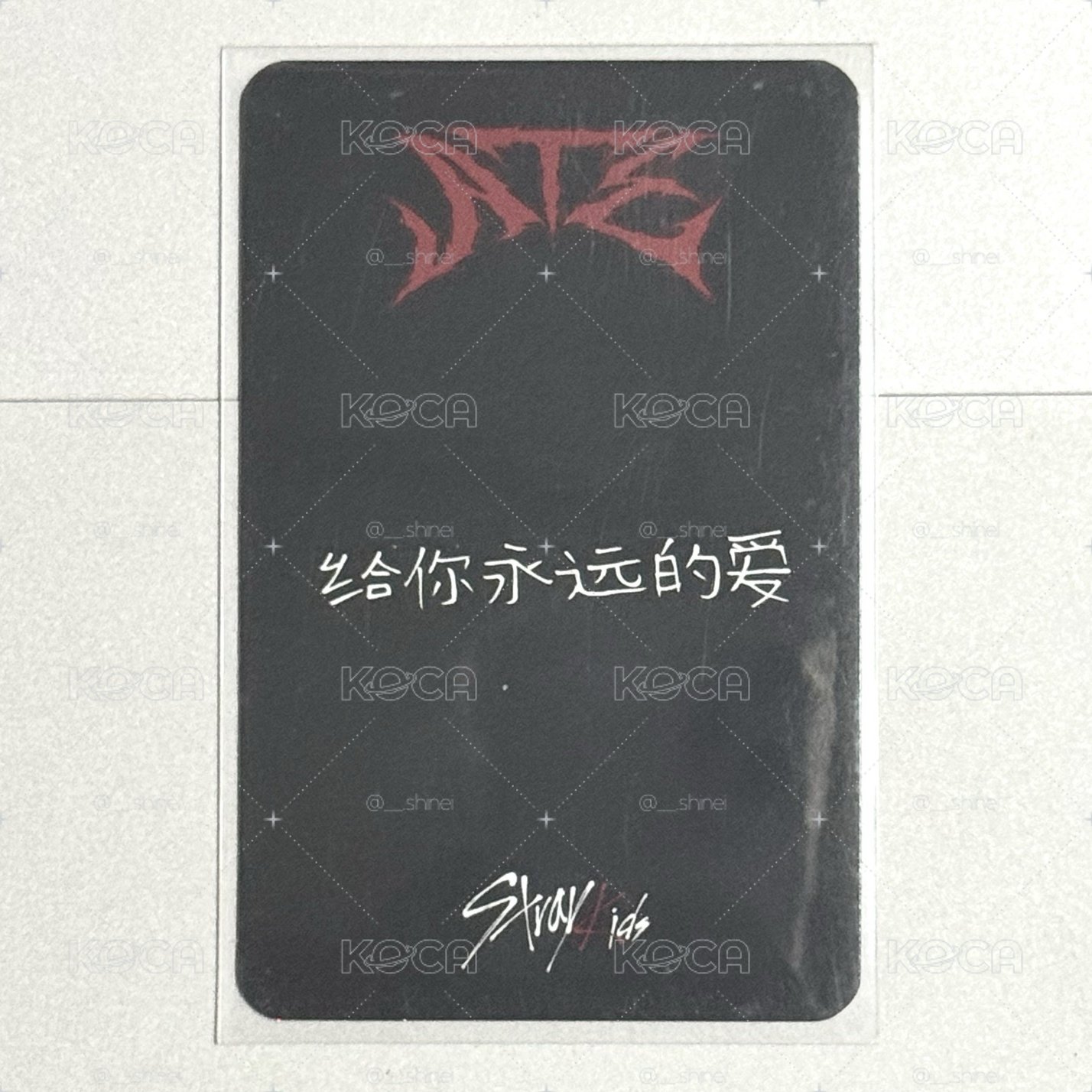 ATE星河中背特典菲🐥