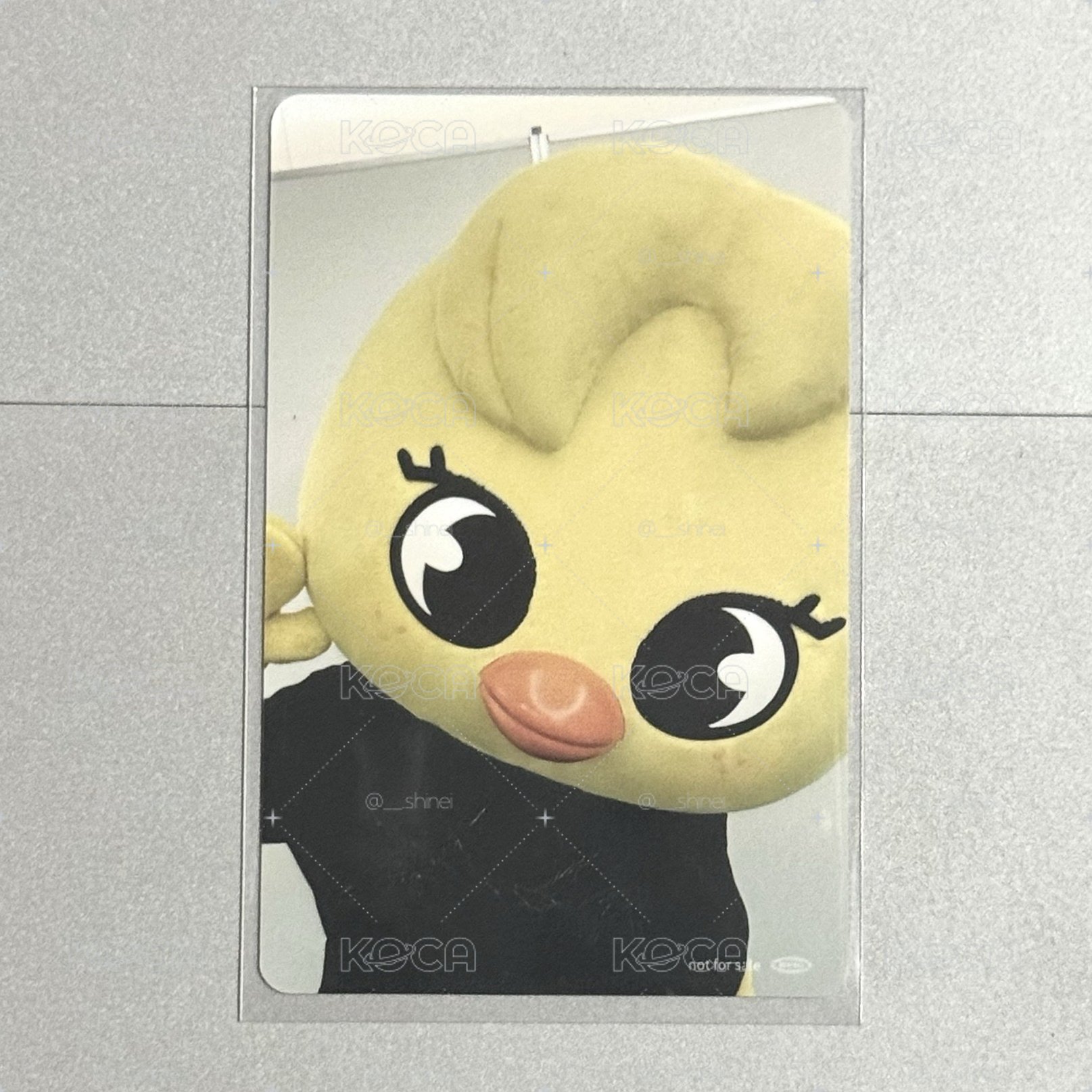塔店特典菲🐥