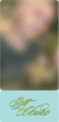 芝加哥 回憶錄 wvs 特典卡 票根