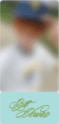 芝加哥 回憶錄 wvs 特典卡 票根