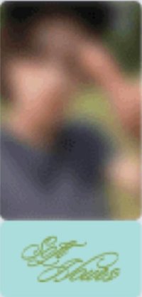 芝加哥 回憶錄 wvs 特典卡 票根