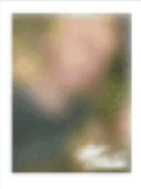 芝加哥 回憶錄 wvs 特典卡 貼紙