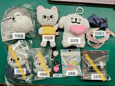 ✨SKZ週邊✨站娃、布丁娃...