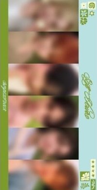 芝加哥 回憶錄 日咖 特典卡 明信片