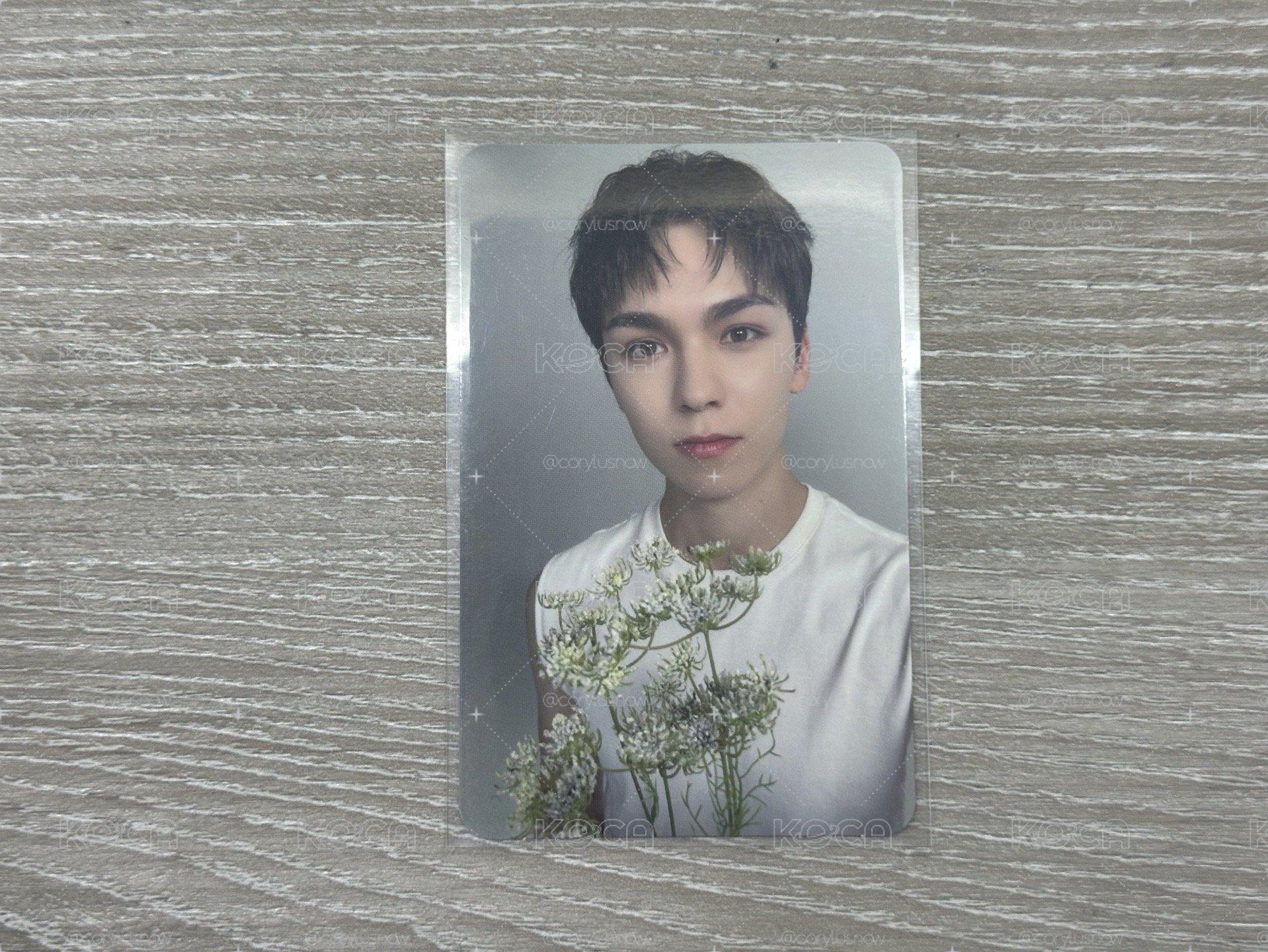 🐻‍❄️vernon 親愛盤卡