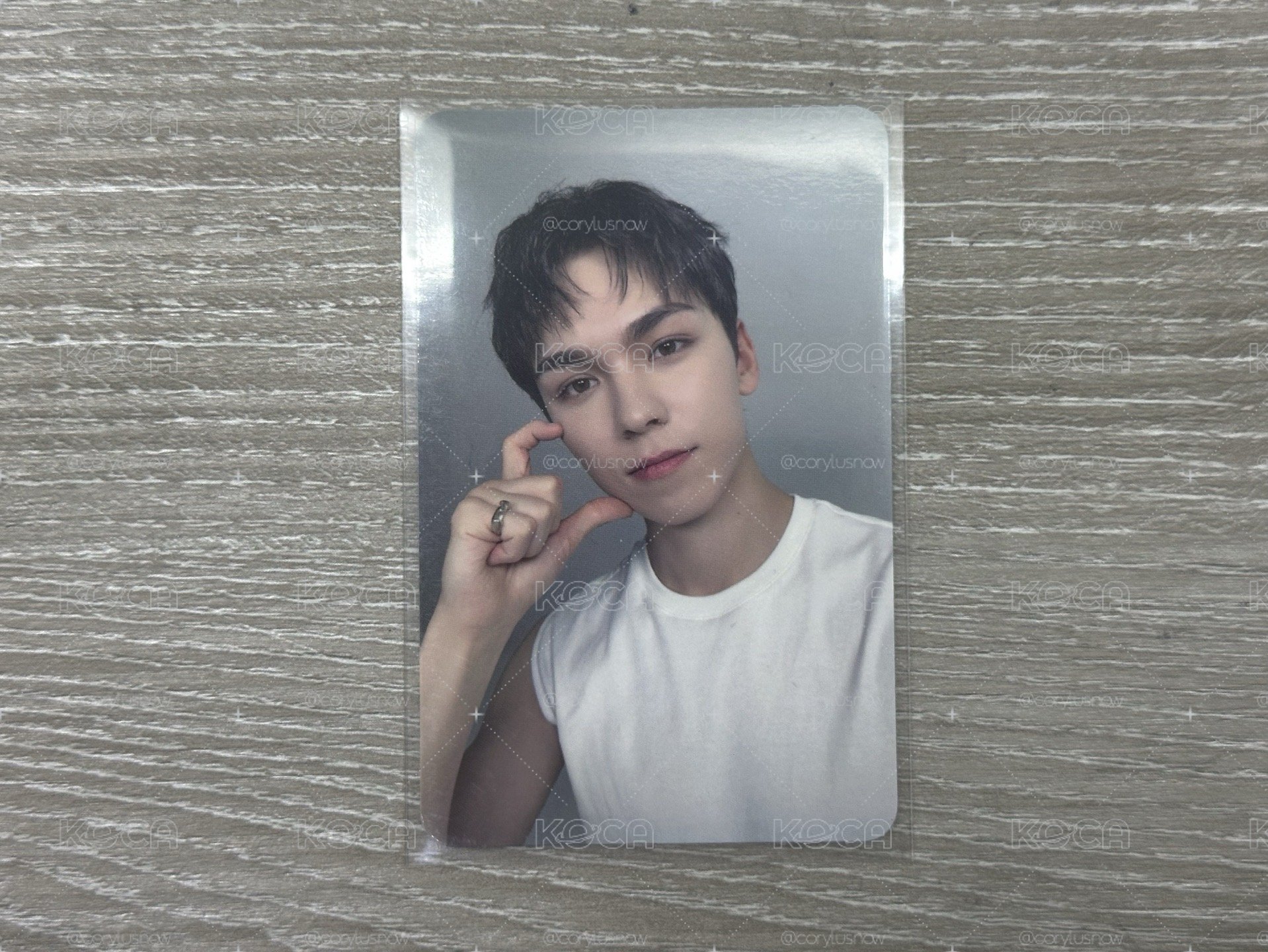 🐻‍❄️vernon 親愛盤卡