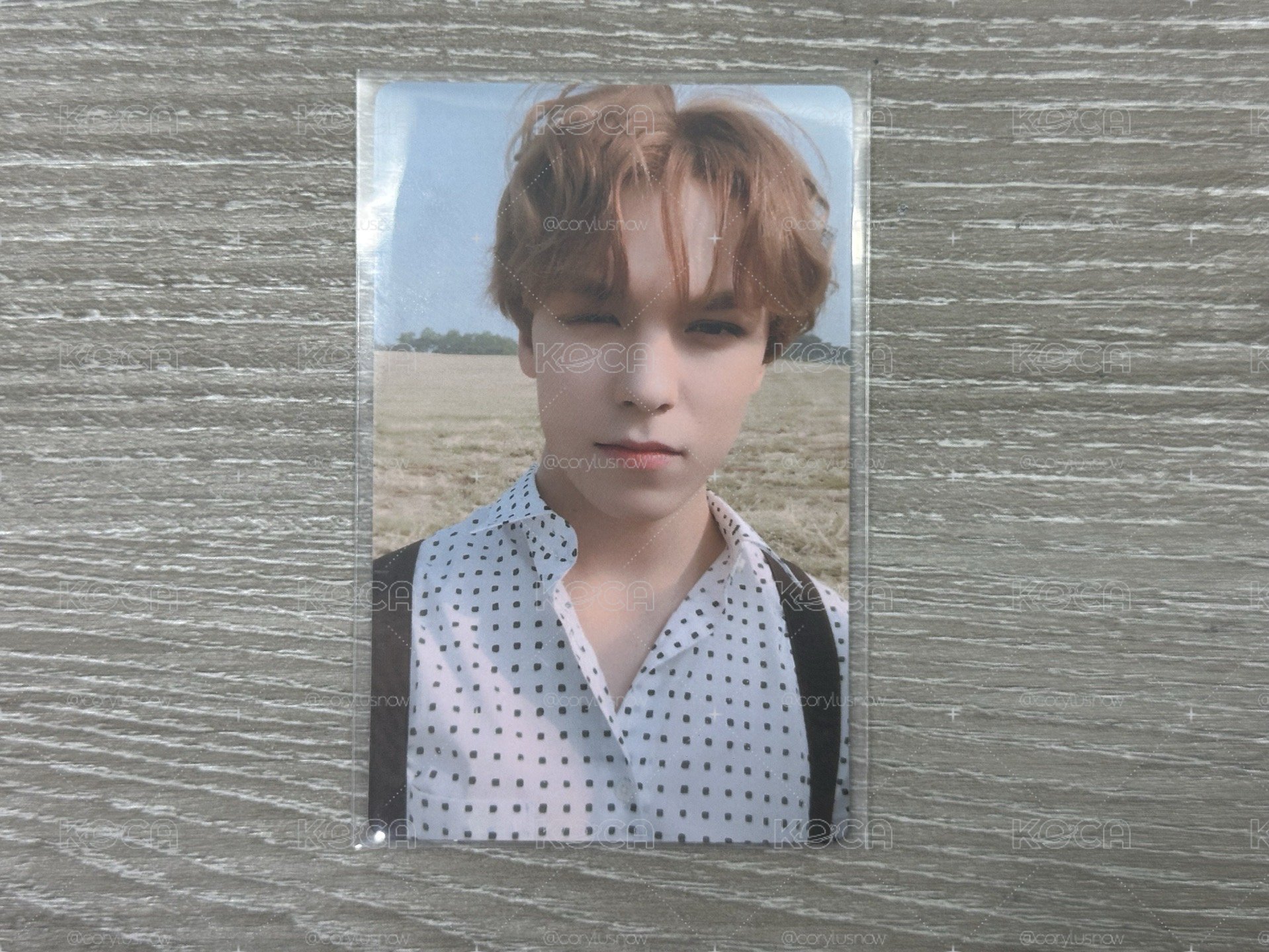 🐻‍❄️vernon Mini5專輯卡