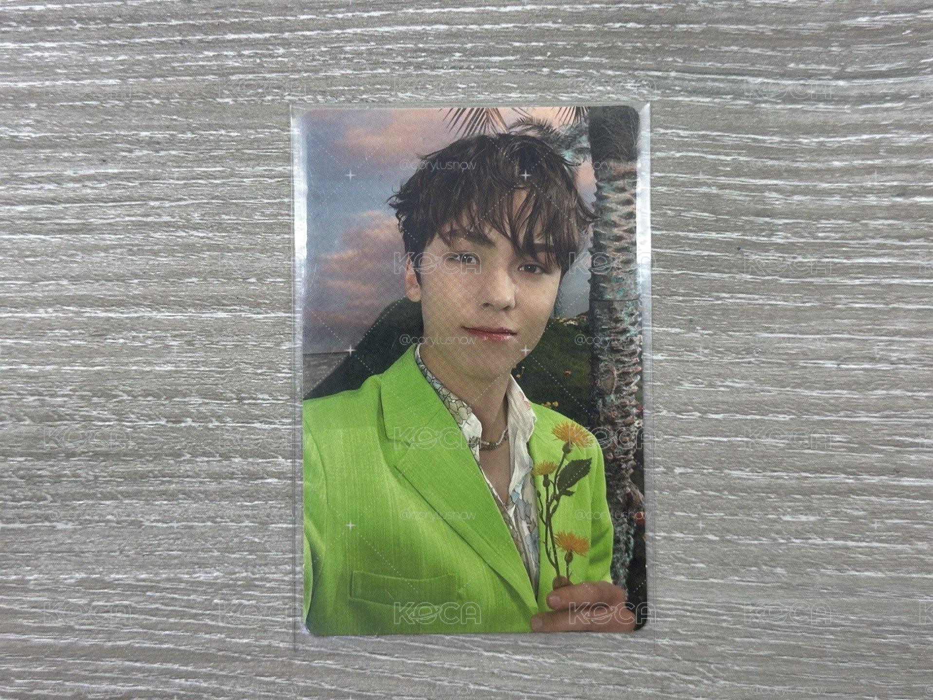 🐻‍❄️vernon 正四後續
