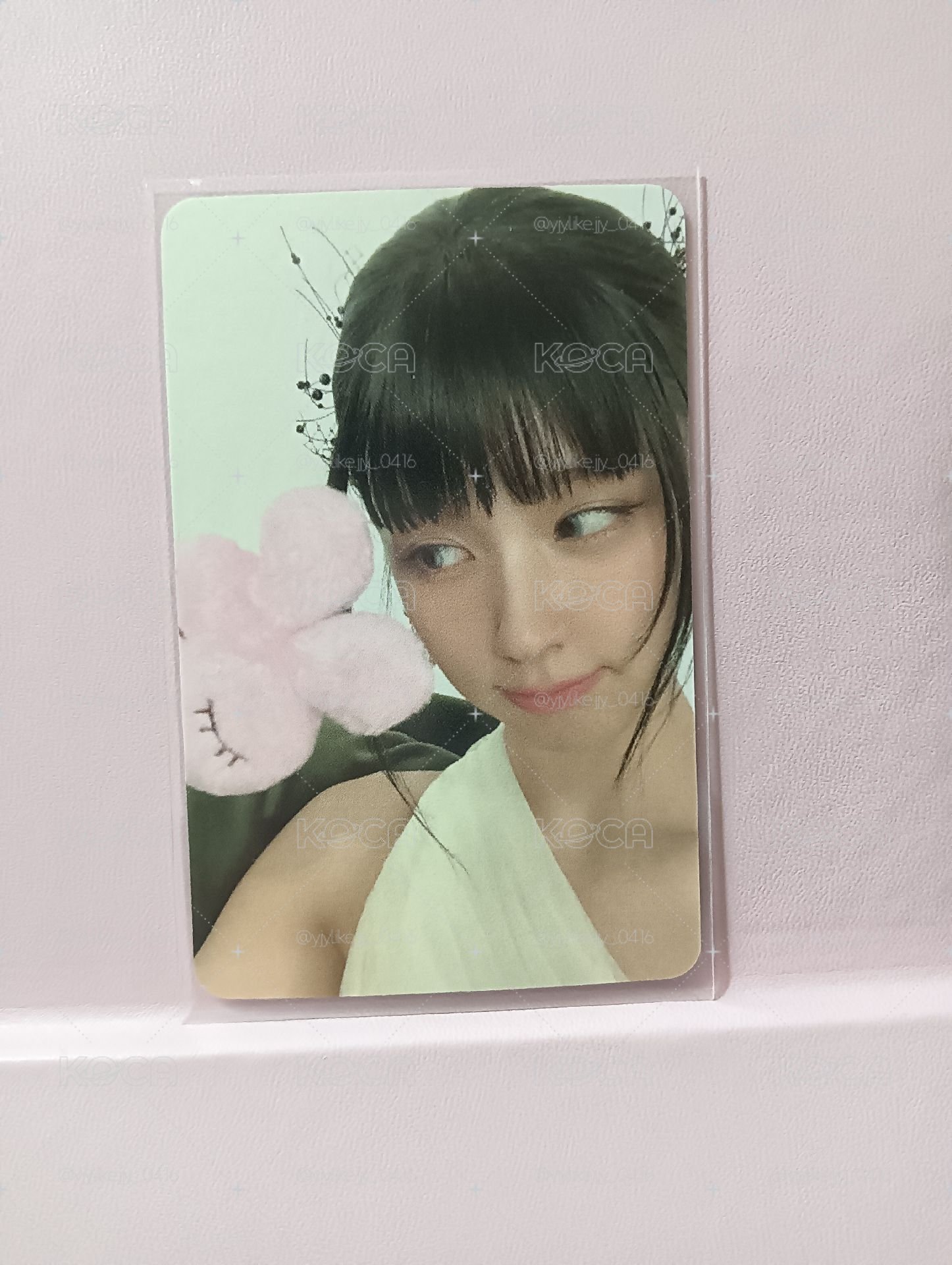 兔子麵韓背