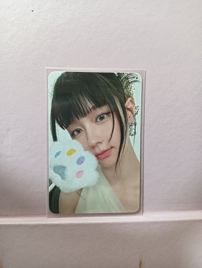 we are貓抓麵中背