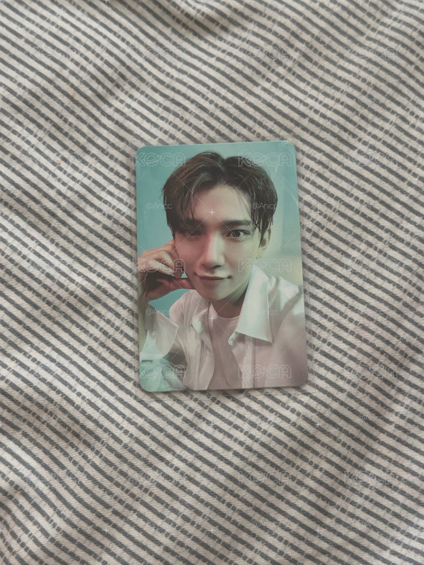 💛迷十二 秀