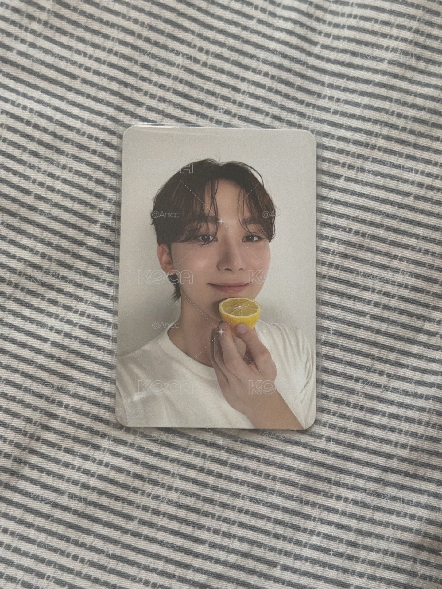 💛檸檬 哺