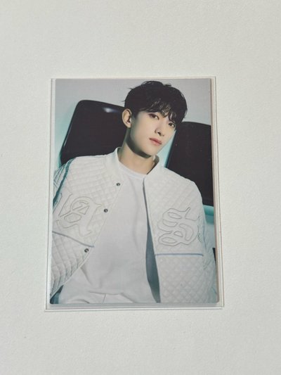 碩 Follow Again 隨機卡 