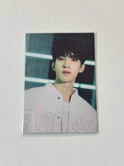 碩 Follow Again 隨機卡 