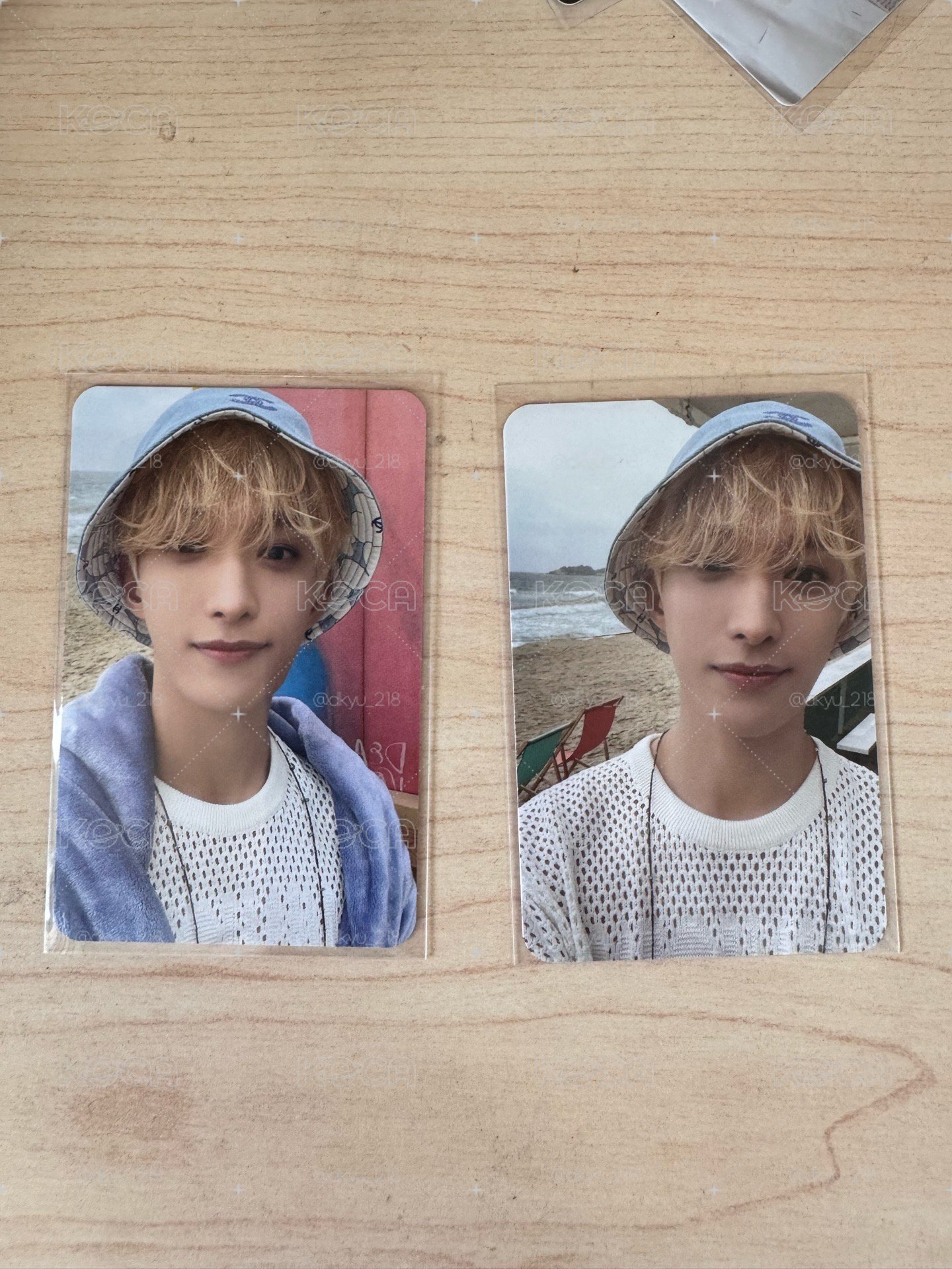SVT | 碩 迷12