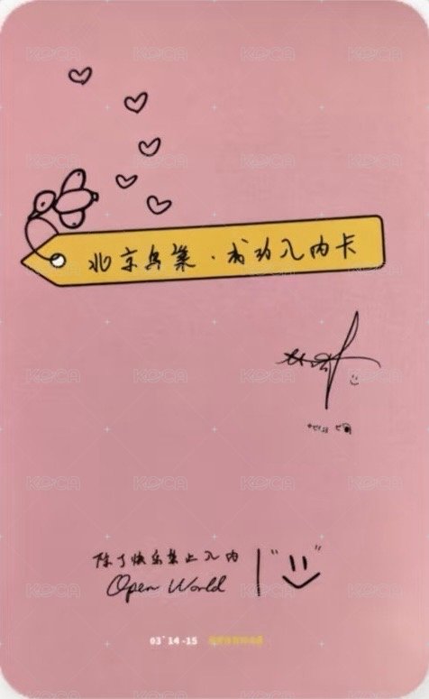 除了快樂禁止入內 鳥巢站 3/14 入場卡 / 場限卡  背面