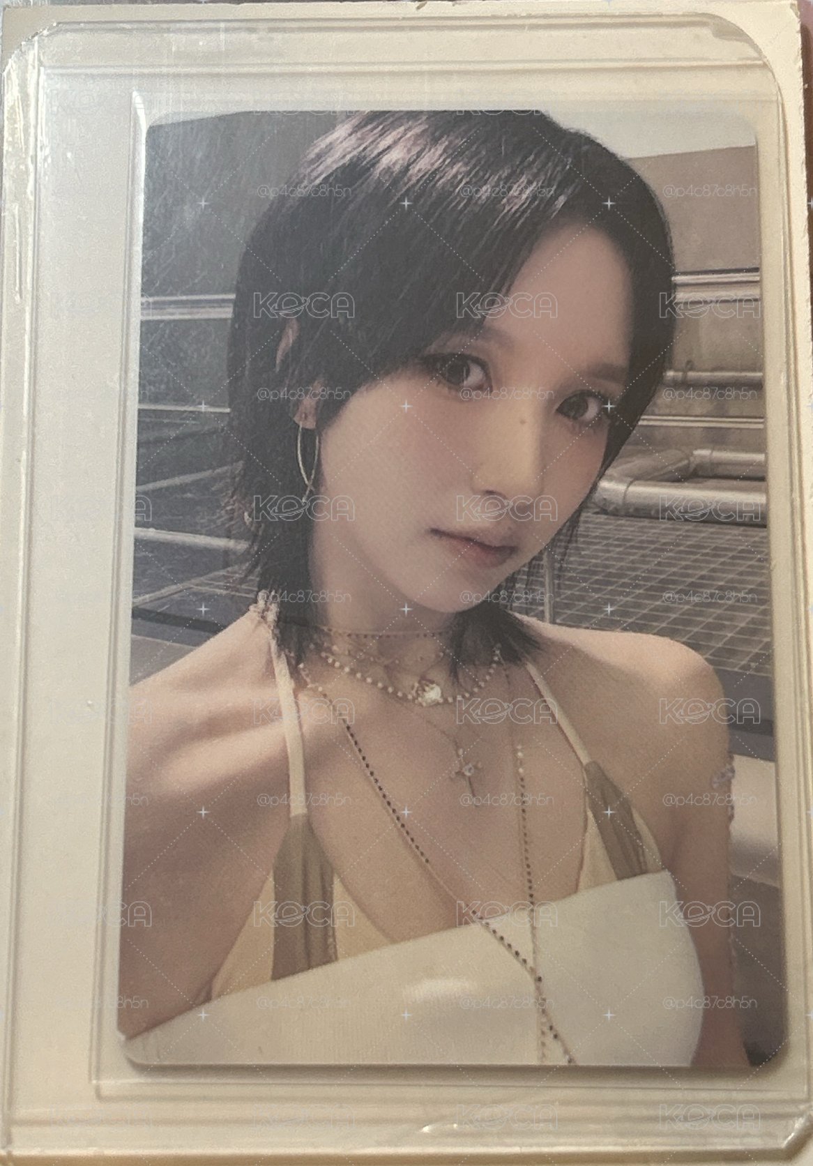一直娛 簽售卡