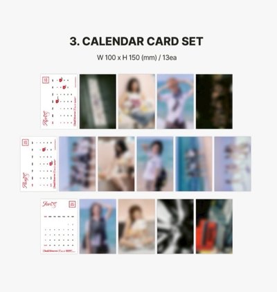 拆車｜BM 2週年回憶錄 單成員