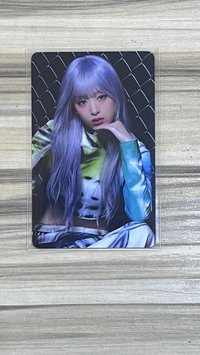 wvs 預售 特典賢