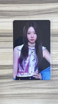 wvs 預售 特典茶