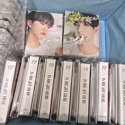 SEVENTEEN 精選輯 克拉盤 迷你卡冊 全員皆有