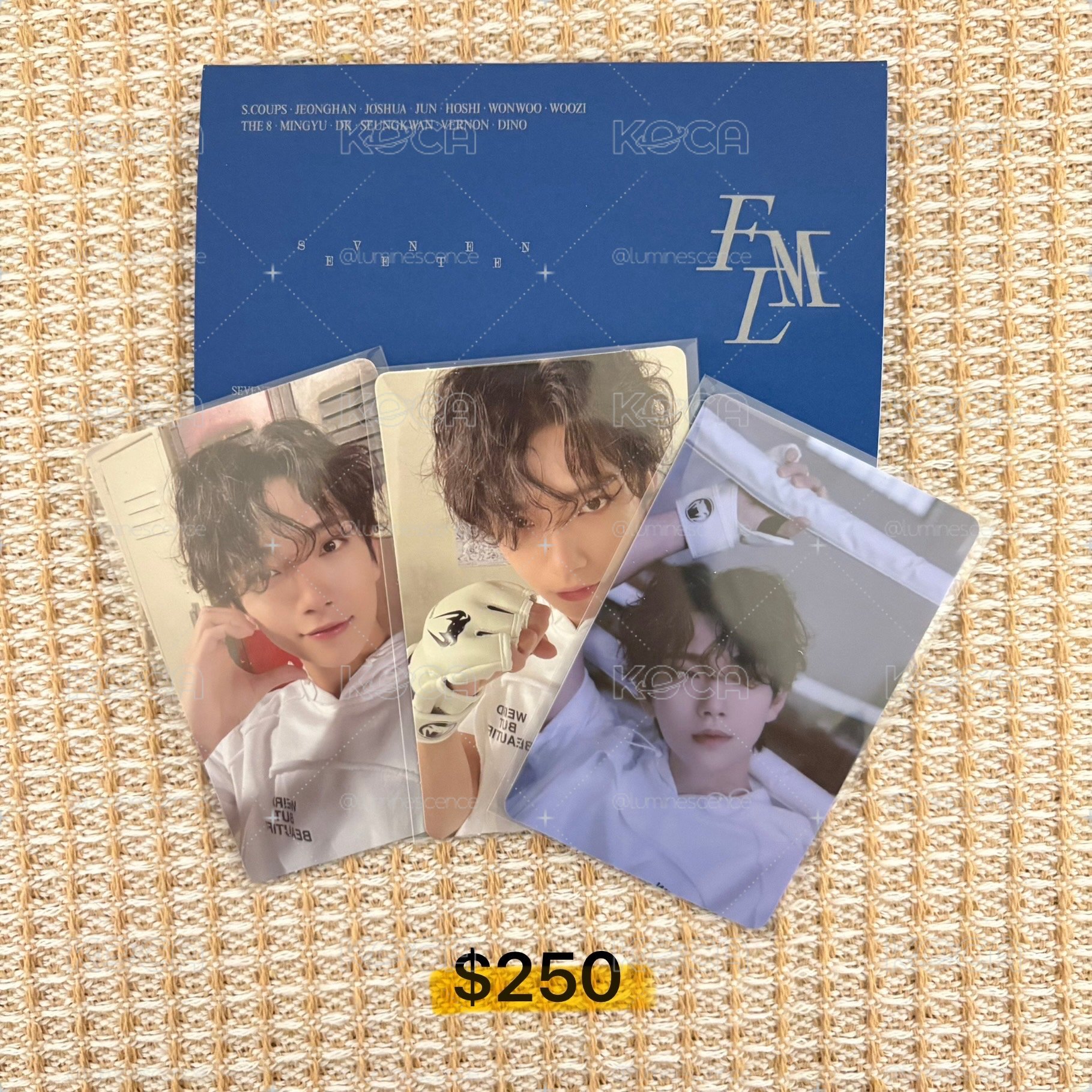 💎迷10 F.M.L 電子專 全專 秀