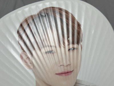 勳大扇 古早扇 holiday扇