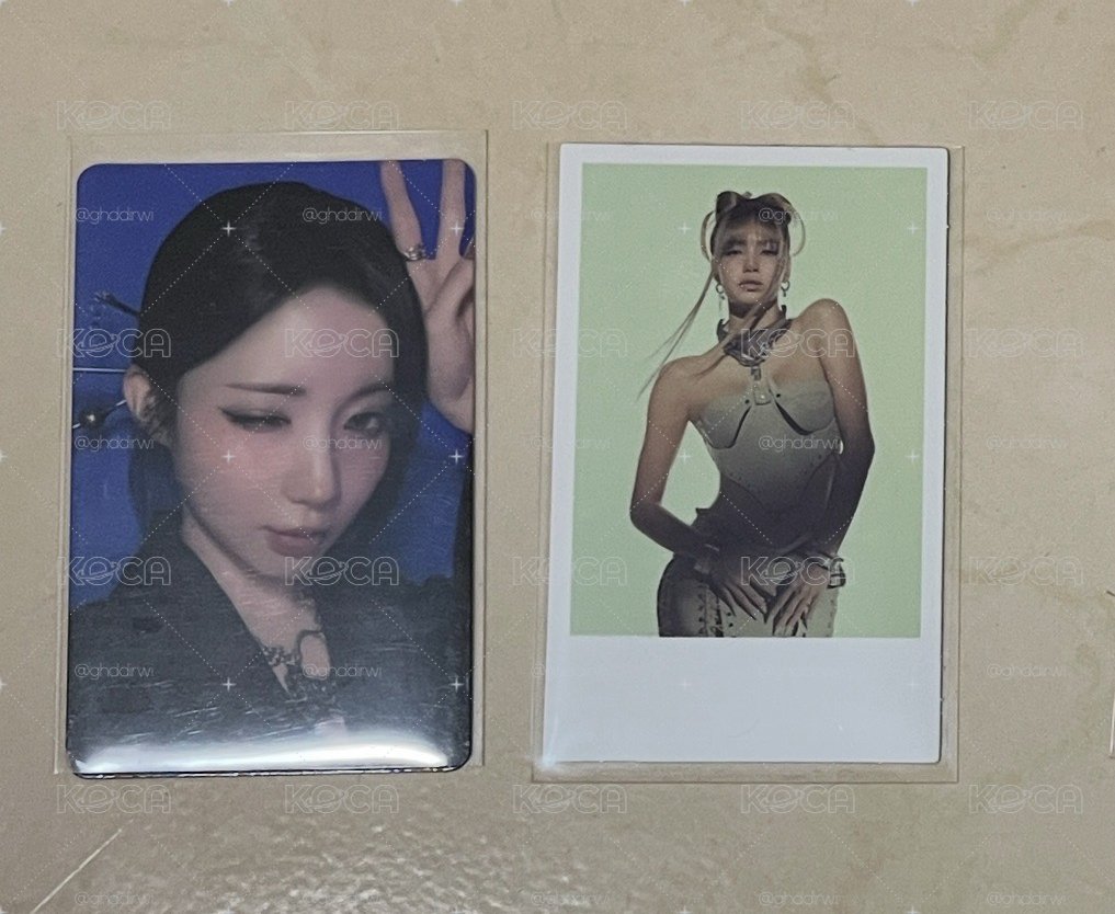 預售禮角+wvs特典莎