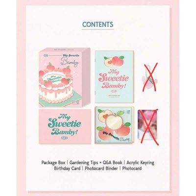 2024生日禮盒 銀虎 斑比 無卡無吊飾