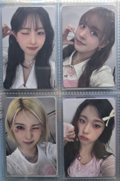 會員禮小卡莉嫄裴圭