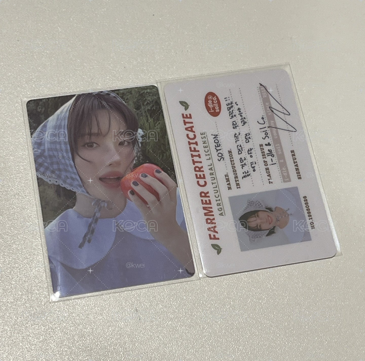 2026 固配台曆娟🗝️