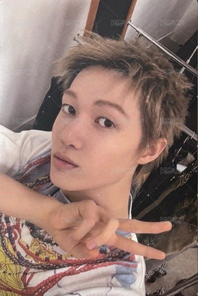 非現小卡區，豬豬跟馬丁