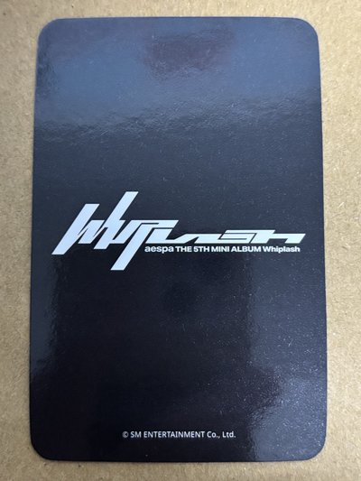 aespa Winter 冬天 Whiplash sw 特典卡 預售冬 冬-64