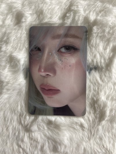 需多帶 winter 閃卡材質 正規一 hottracks 特典卡 教保特典冬