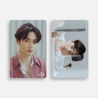 Self-Portrait 交通卡