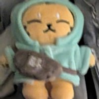 行李香喜歡在豪雨下☂️（3月開始出貨）