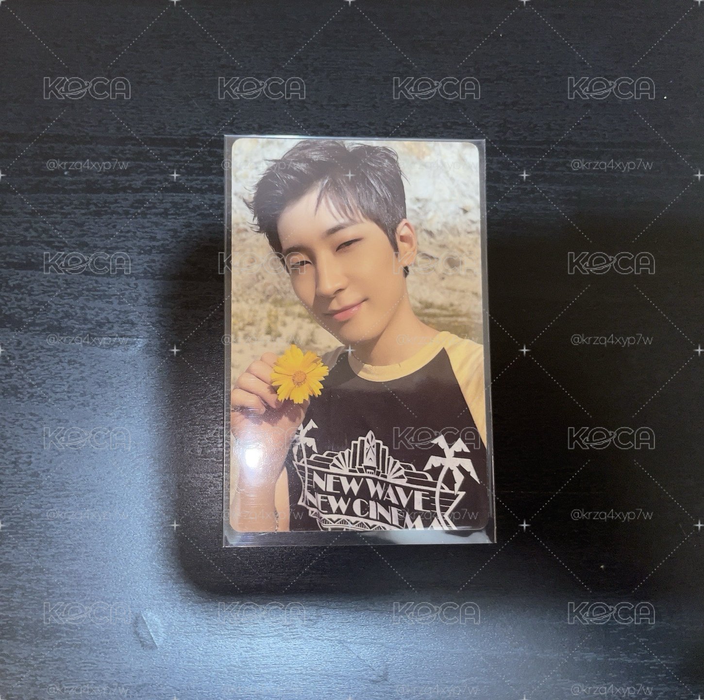 圓follow dvd