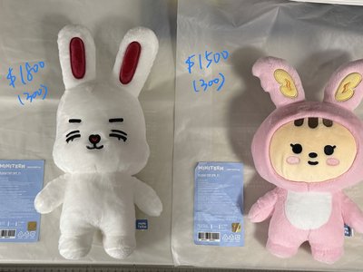 🍒🐰MINITEEN 坐娃站娃零錢包大頭吊飾