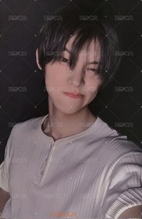 NO LABELS 短褲專 專輯卡 